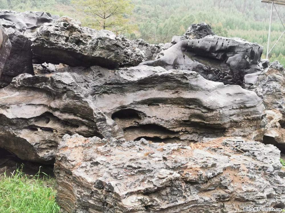 风景石、假山石大量有货，有需要的欢迎联系 - 新手上路 - 铜仁生活社区 - 铜仁28生活网 tr.28life.net