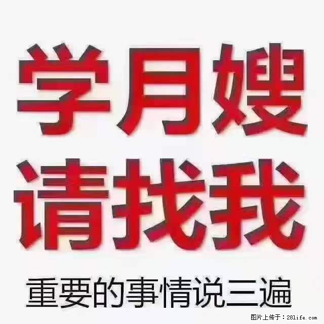 为什么要学习月嫂，育婴师？ - 新手上路 - 铜仁生活社区 - 铜仁28生活网 tr.28life.net