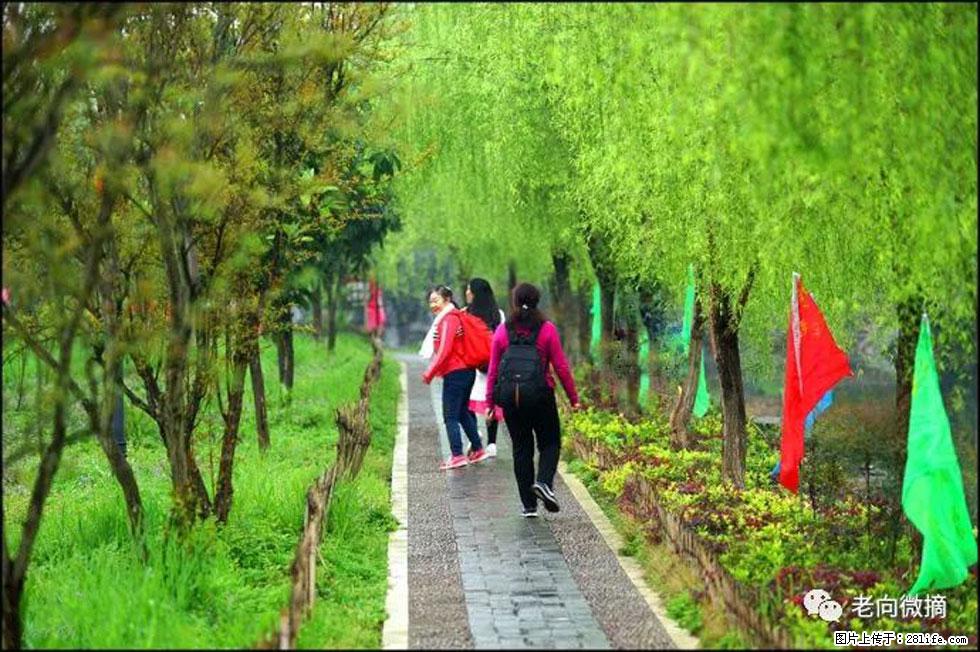 【春天，广西桂林灌阳县向您发出邀请！】江口老街又逢春 - 游山玩水 - 铜仁生活社区 - 铜仁28生活网 tr.28life.net