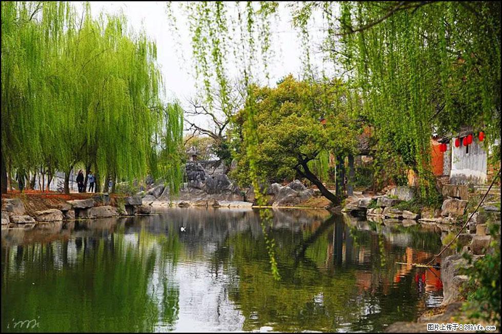 【春天，广西桂林灌阳县向您发出邀请！】江口老街又逢春 - 游山玩水 - 铜仁生活社区 - 铜仁28生活网 tr.28life.net