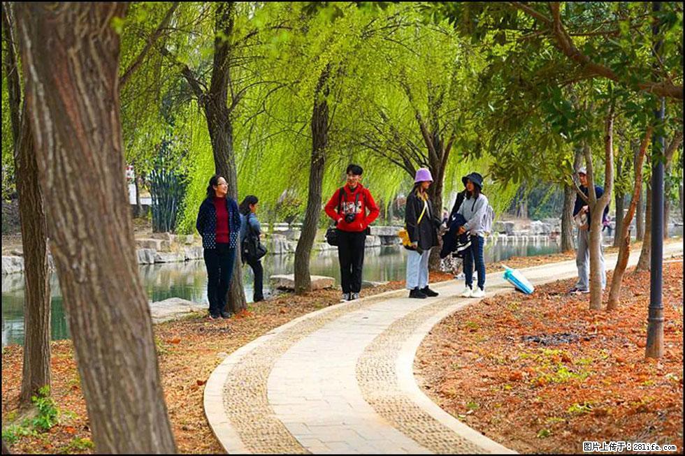 【春天，广西桂林灌阳县向您发出邀请！】江口老街又逢春 - 游山玩水 - 铜仁生活社区 - 铜仁28生活网 tr.28life.net