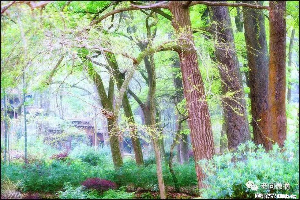 【春天，广西桂林灌阳县向您发出邀请！】在小龙村与春天约会 - 游山玩水 - 铜仁生活社区 - 铜仁28生活网 tr.28life.net