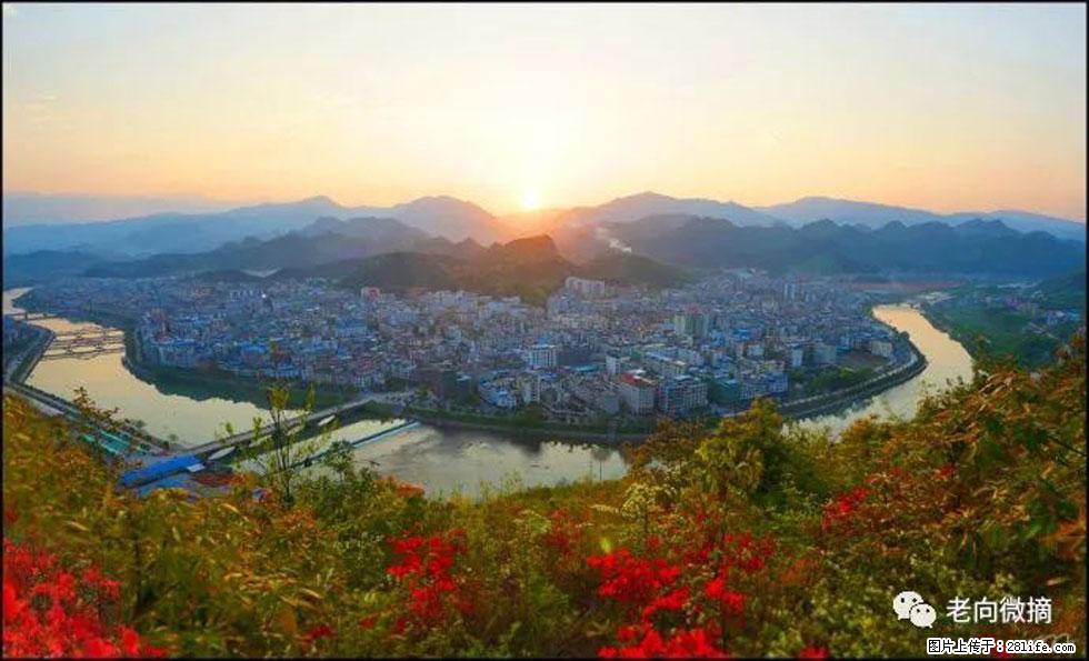 【春天，广西桂林灌阳县向您发出邀请！】登麒麟山，相约映山红 - 游山玩水 - 铜仁生活社区 - 铜仁28生活网 tr.28life.net