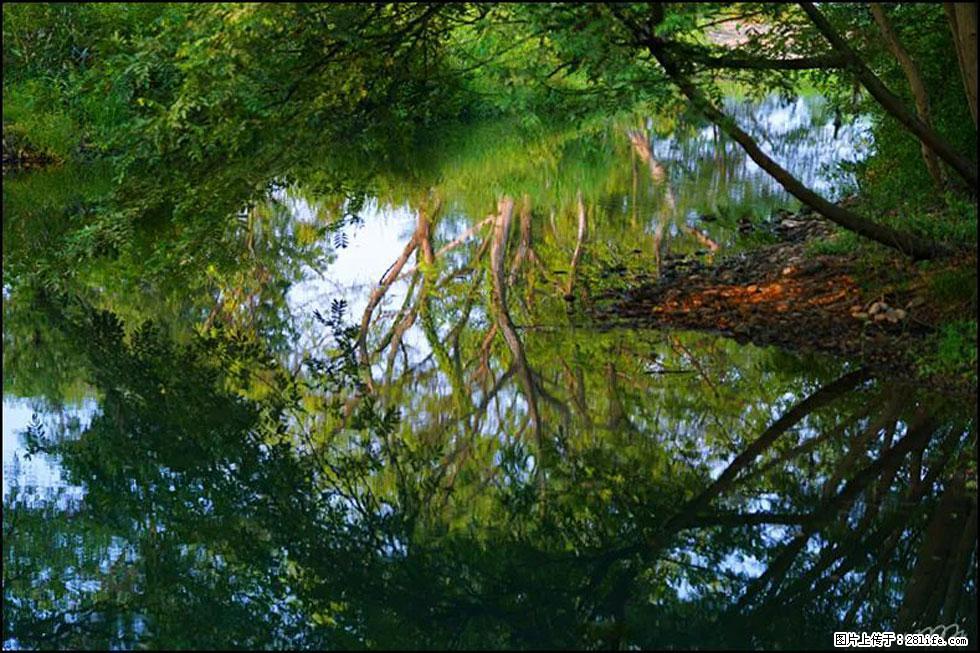 【春天，广西桂林灌阳县向您发出邀请！】熊家寨湿地公园 - 游山玩水 - 铜仁生活社区 - 铜仁28生活网 tr.28life.net