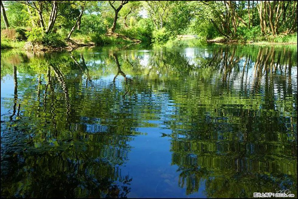 【春天，广西桂林灌阳县向您发出邀请！】熊家寨湿地公园 - 游山玩水 - 铜仁生活社区 - 铜仁28生活网 tr.28life.net