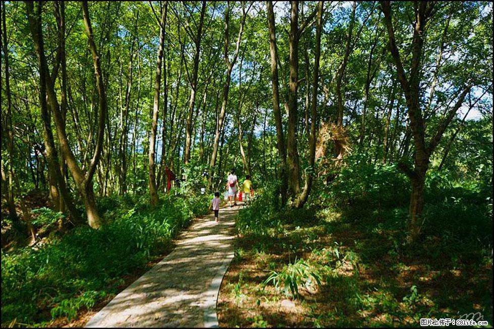 【春天，广西桂林灌阳县向您发出邀请！】熊家寨湿地公园 - 游山玩水 - 铜仁生活社区 - 铜仁28生活网 tr.28life.net
