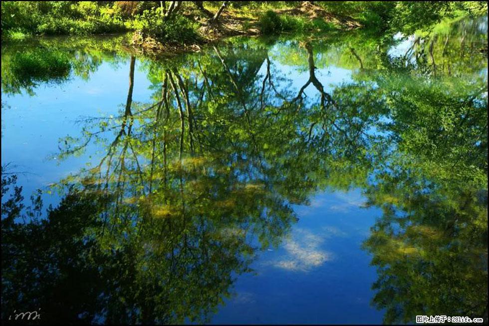 【春天，广西桂林灌阳县向您发出邀请！】熊家寨湿地公园 - 游山玩水 - 铜仁生活社区 - 铜仁28生活网 tr.28life.net