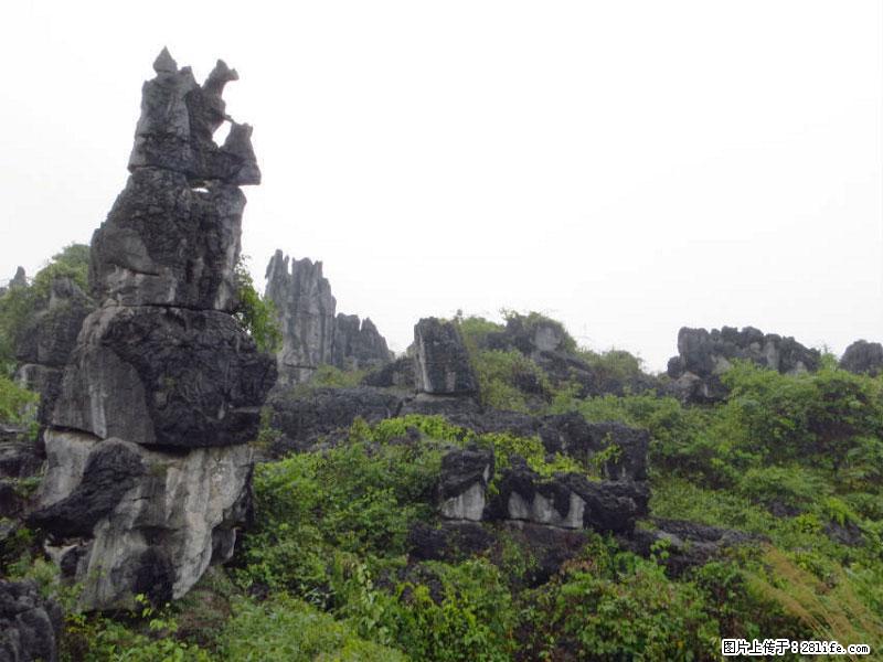 桂林旅游名城景点：灌阳文市石林 - 游山玩水 - 铜仁生活社区 - 铜仁28生活网 tr.28life.net