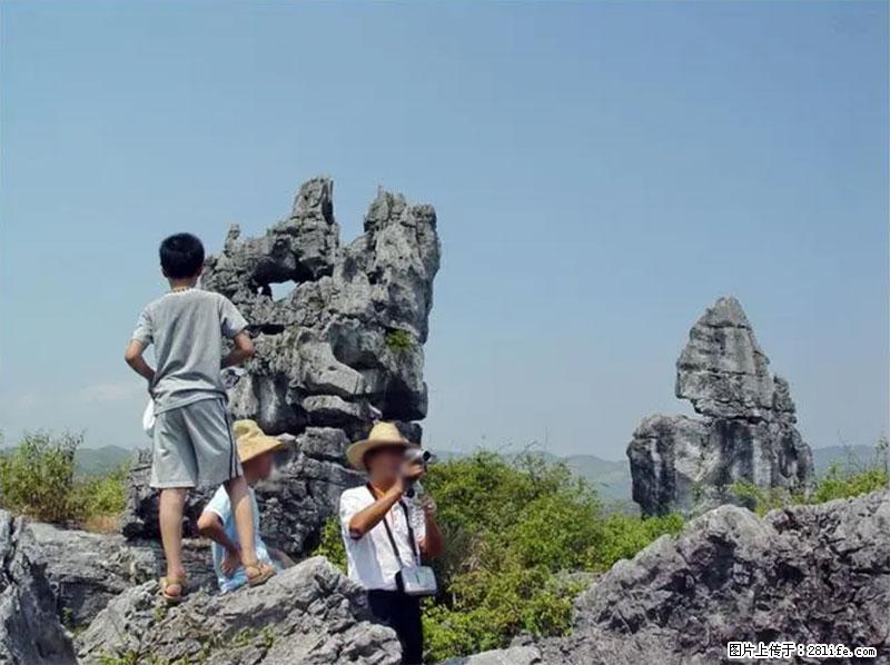桂林旅游名城景点：灌阳文市石林 - 游山玩水 - 铜仁生活社区 - 铜仁28生活网 tr.28life.net