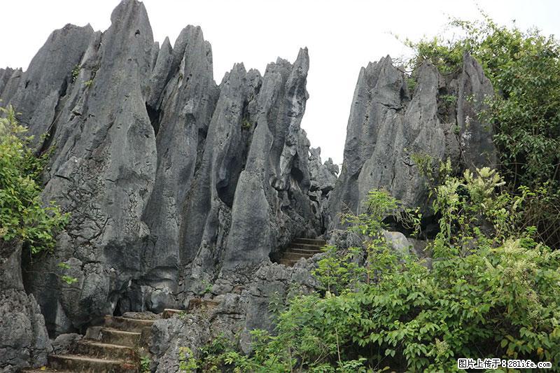桂林旅游名城景点：灌阳文市石林 - 游山玩水 - 铜仁生活社区 - 铜仁28生活网 tr.28life.net