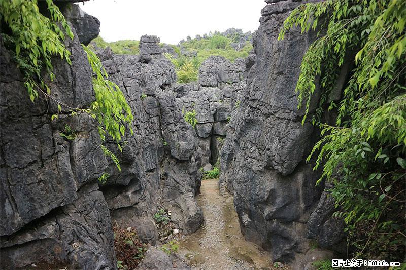桂林旅游名城景点：灌阳文市石林 - 游山玩水 - 铜仁生活社区 - 铜仁28生活网 tr.28life.net