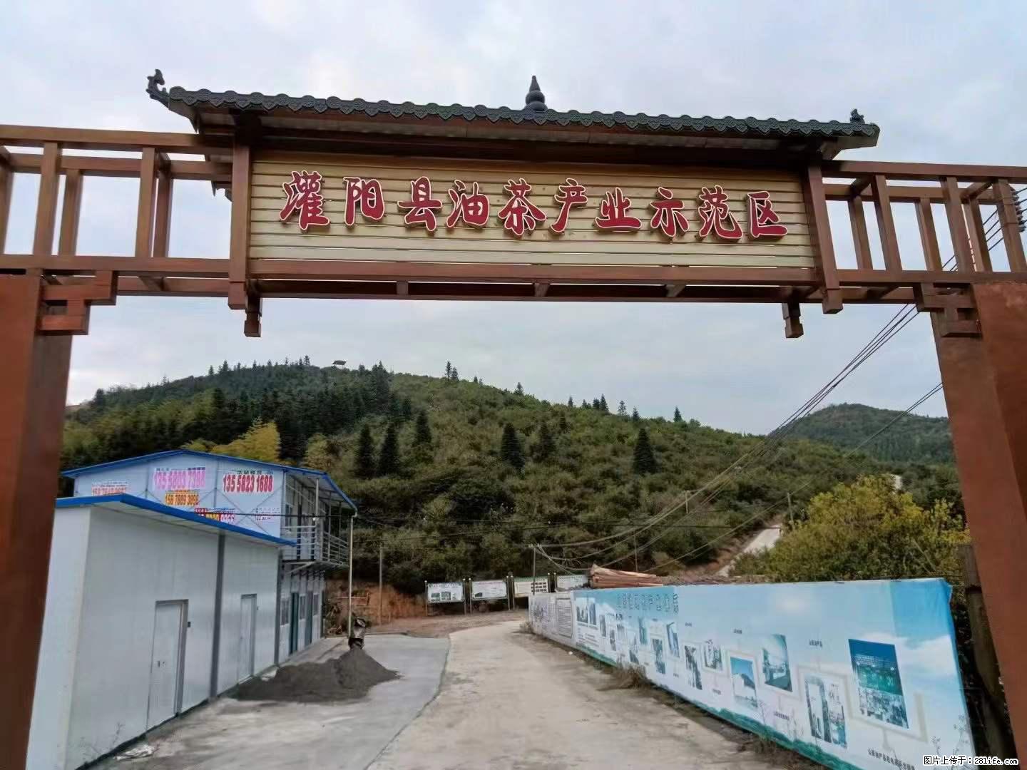 【灌阳县油茶产业示范区】一个有着充实的精神生活的人，对待身外之物自会有一种淡泊的态度 - 美食天地 - 铜仁生活社区 - 铜仁28生活网 tr.28life.net