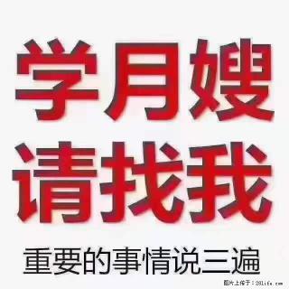 为什么要学习月嫂，育婴师？ - 铜仁28生活网 tr.28life.net