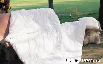 被子有异味？只要这样做，比晒太阳还强100倍！ - 家居生活 - 铜仁生活社区 - 铜仁28生活网 tr.28life.net