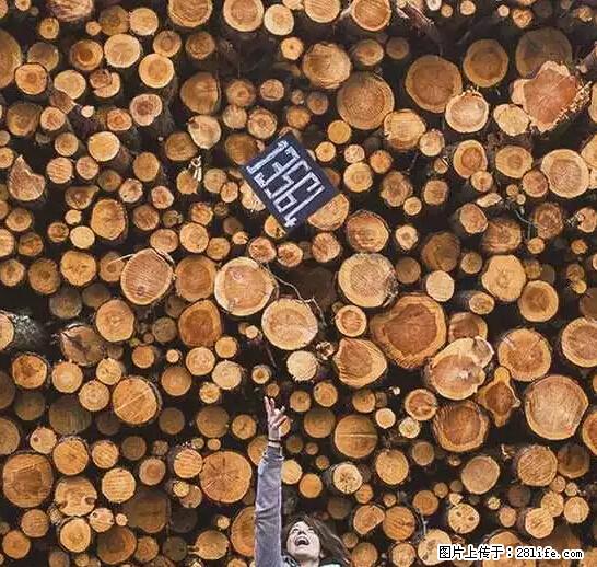 辞掉工作周游世界？现在他们在洗厕所…… - 游山玩水 - 铜仁生活社区 - 铜仁28生活网 tr.28life.net