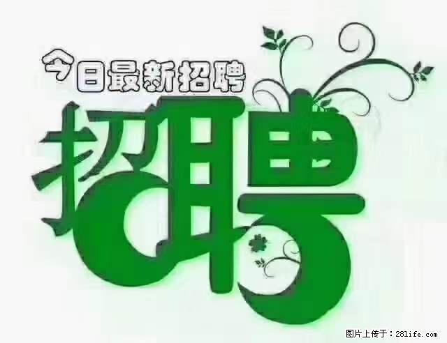 【招聘摄像师】待遇：试用期6000元/月，转正7000元/月+五险一金+餐补+节日福利+奖金 - 其他招聘信息 - 招聘求职 - 铜仁分类信息 - 铜仁28生活网 tr.28life.net