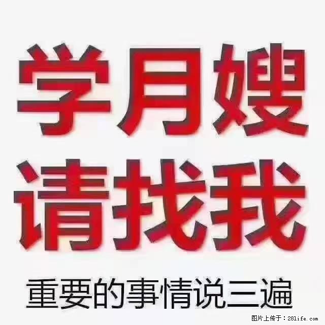 【招聘】月嫂，上海徐汇区 - 职场交流 - 铜仁生活社区 - 铜仁28生活网 tr.28life.net