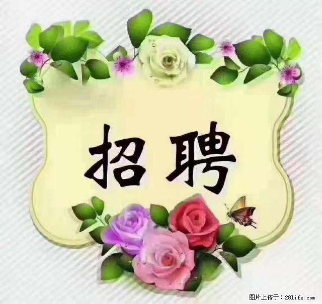 【招聘】住家育儿嫂，上户日期：4月4日，工作地址：上海 黄浦区 - 职场交流 - 铜仁生活社区 - 铜仁28生活网 tr.28life.net