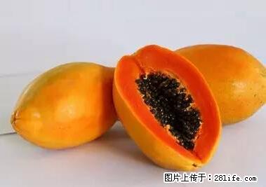 晕车、脚气、牙齿变黄、皮肤粗糙？学会这些三分钟搞定！ - 铜仁生活资讯 - 铜仁28生活网 tr.28life.net
