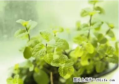 晕车、脚气、牙齿变黄、皮肤粗糙？学会这些三分钟搞定！ - 铜仁生活资讯 - 铜仁28生活网 tr.28life.net