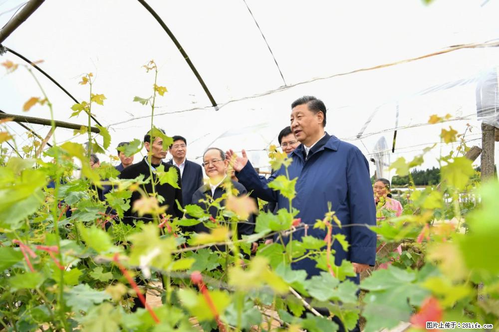 习近平赴广西考察调研 - 铜仁生活资讯 - 铜仁28生活网 tr.28life.net