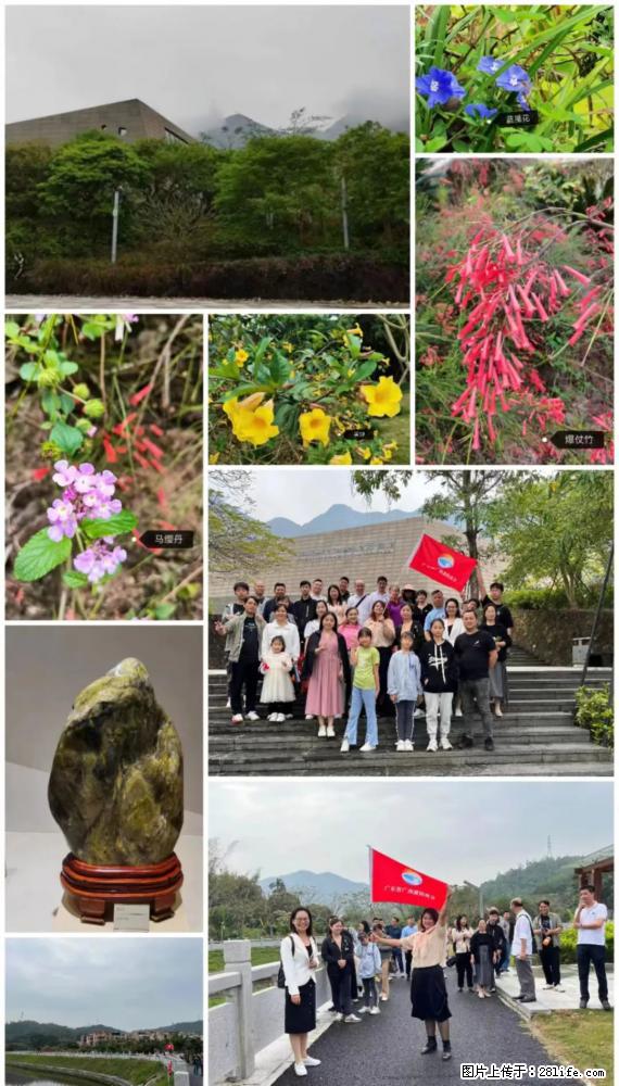“粤灌文化 美好生活”油茶文化主题活动在广东深圳成功举办 - 铜仁生活资讯 - 铜仁28生活网 tr.28life.net