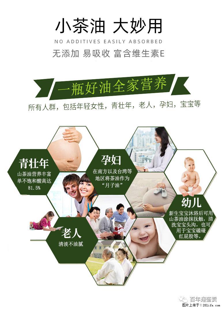 世界没有真相，只有认知，最好的食用油是中国的山茶油！ - 铜仁生活资讯 - 铜仁28生活网 tr.28life.net