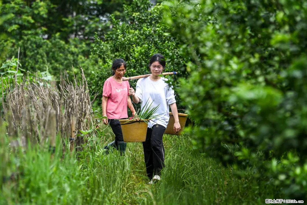 全网追的“扁担女孩”，找了一份暑假工，时薪12元 - 铜仁生活资讯 - 铜仁28生活网 tr.28life.net