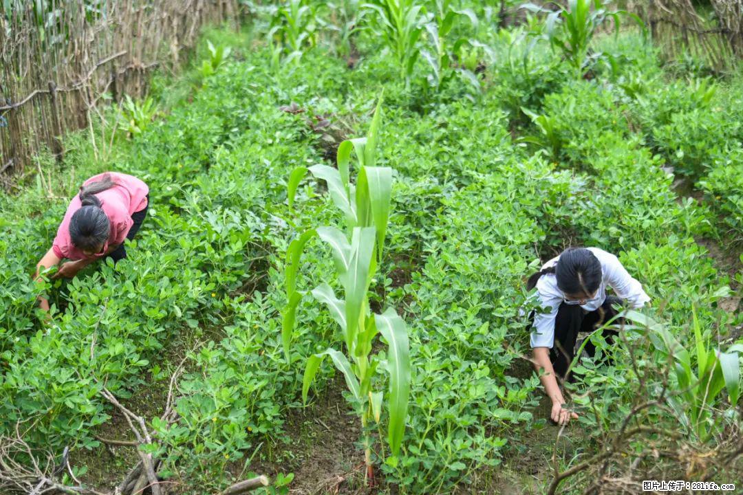 全网追的“扁担女孩”，找了一份暑假工，时薪12元 - 铜仁生活资讯 - 铜仁28生活网 tr.28life.net