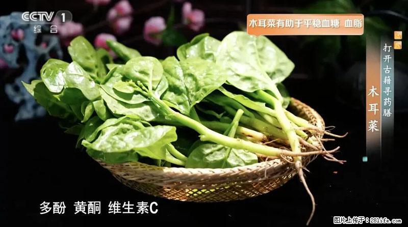 比牛奶补钙还厉害！凉血解毒、稳血糖...这菜冬天必吃，很多人却当草 - 铜仁生活资讯 - 铜仁28生活网 tr.28life.net