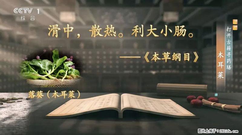 比牛奶补钙还厉害！凉血解毒、稳血糖...这菜冬天必吃，很多人却当草 - 铜仁生活资讯 - 铜仁28生活网 tr.28life.net