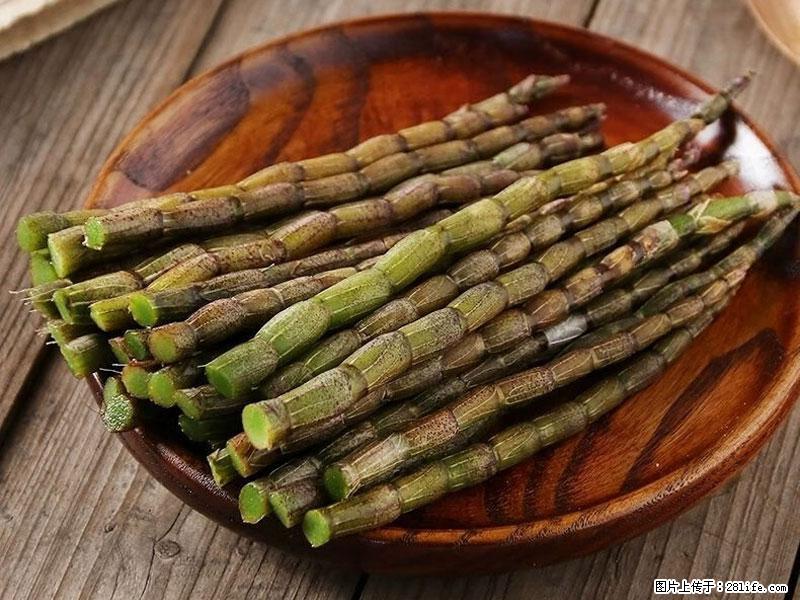 铁皮石斛的作用与功能主治 - 铜仁生活资讯 - 铜仁28生活网 tr.28life.net